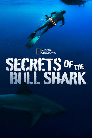 Secrets of the Bull Shark - TopStrem