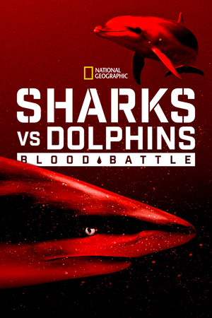 Sharks vs. Dolphins: Blood Battle - TopStrem