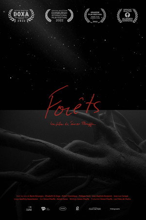 Forêts - TopStrem