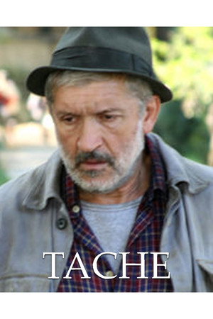 Poster pentru Tache