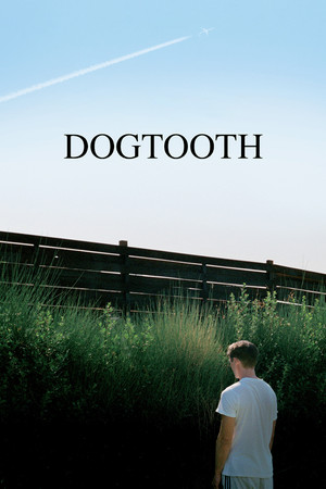 Dogtooth - TopStrem