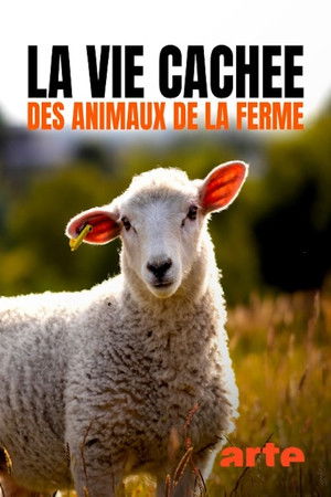Wild Tales from the Farm - TopStrem