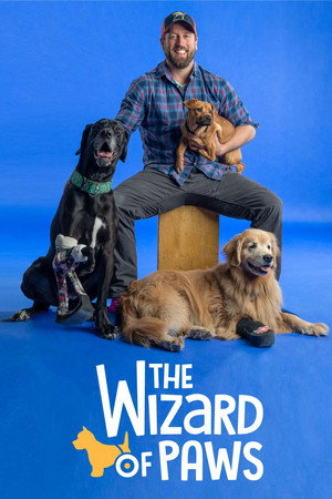 Poster The Wizard of Paws