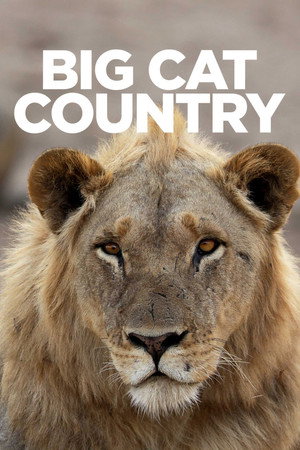 Big Cat Country - TopStrem