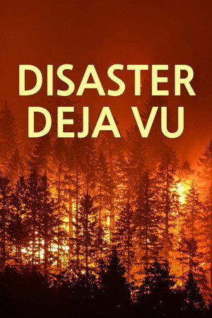 Poster Disaster Deja vu