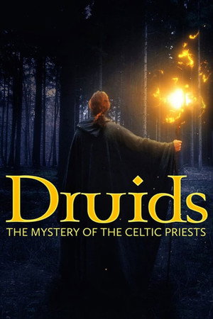 Die Druiden: Mächtige Priester der Kelten - TopStrem