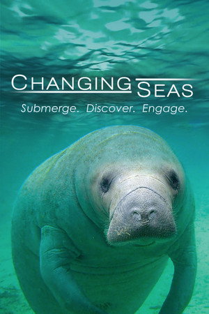 Changing Seas - TopStrem