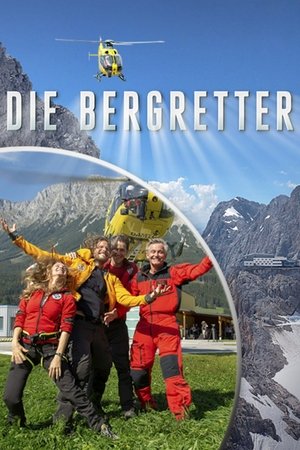 Die Bergretter - TopStrem