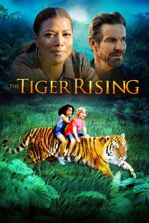 O Despertar do Tigre - TopStrem