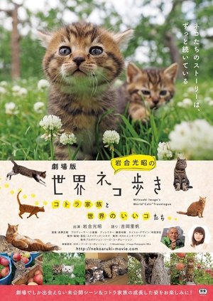 岩合光昭の世界ネコ歩き - TopStrem