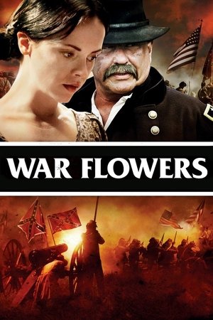 Flores de guerra - TopStrem