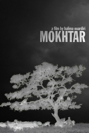 Mokhtar - TopStrem