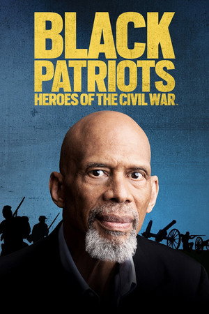Black Patriots: Heroes of the Civil War - TopStrem
