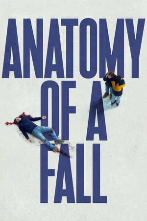 Anatomie eines Falls - TopStrem
