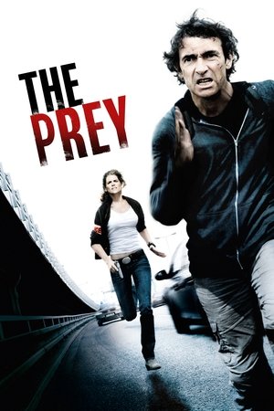 قد يعجبك أيضاً: The Prey