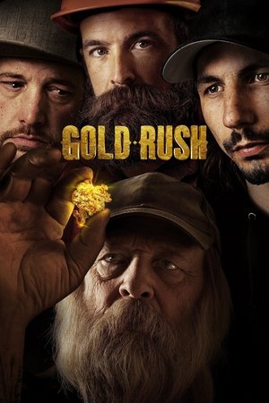 Die Schatzsucher - Goldrausch in Alaska - TopStrem