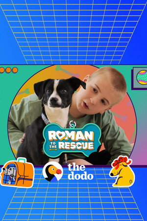Poster Roman to the Rescue