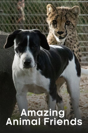 Amazing Animal Friends - TopStrem