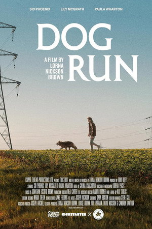 Dog Run - TopStrem
