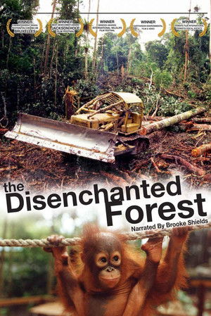 Disenchanted Forest - TopStrem