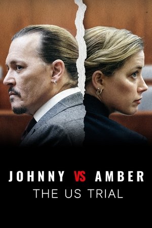 Постер: Johnny vs Amber: The US Trial