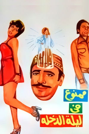 ممنوع في ليلة الدخلة