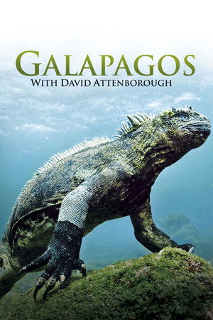 Galapagos with David Attenborough