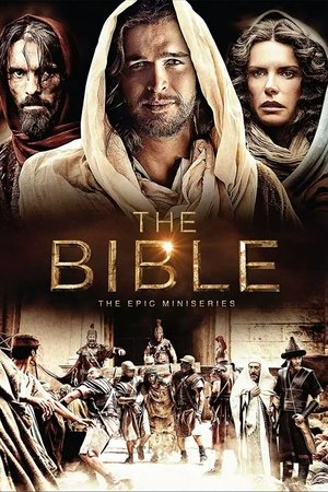 The Bible - TopStrem