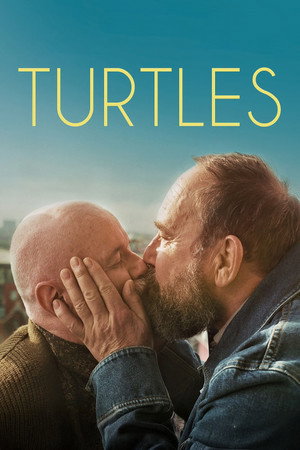 Turtles - TopStrem