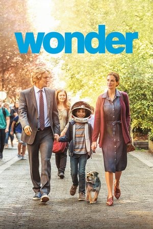 Wonder - TopStrem