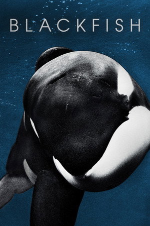 Blackfish - TopStrem