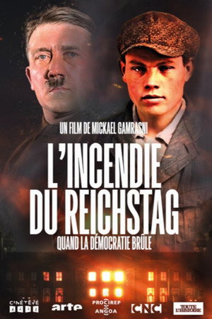 L'Incendie du Reichstag : Quand la démocratie brûle - TopStrem