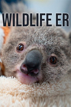 Wildtierrettung - TopStrem