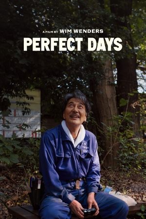 PERFECT DAYS - TopStrem