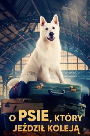 Lampo: Ein Vierbeiner auf Reisen - TopStrem