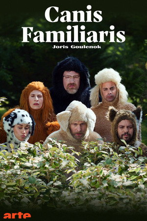Canis familiaris - TopStrem