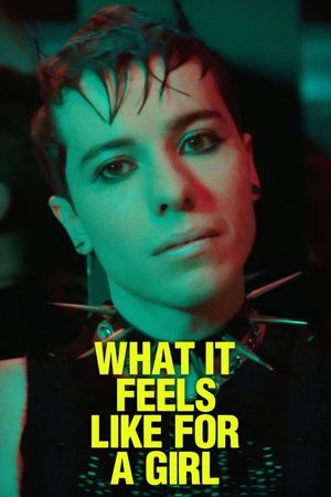 Poster pentru What It Feels Like for a Girl