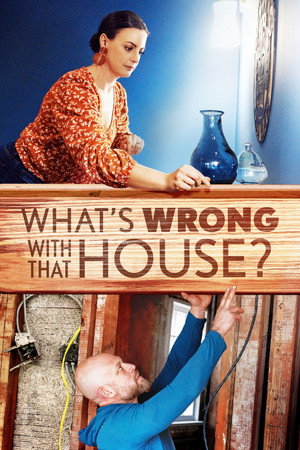 Poster What's Wrong with That House?