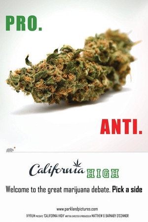 Poster pentru California High (2015)