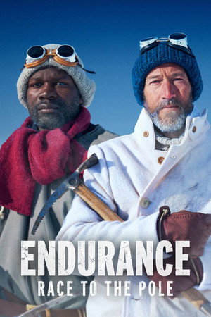 Poster Endurance: Race to the Pole