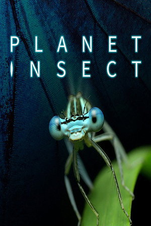 Planet Insect - TopStrem