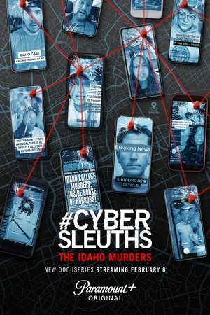 Poster #Cybersleuths: The Idaho Murders