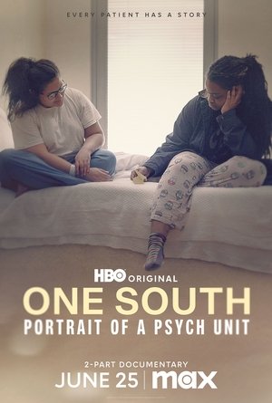 Poster One South: Analiza unei unități de psihiatrie