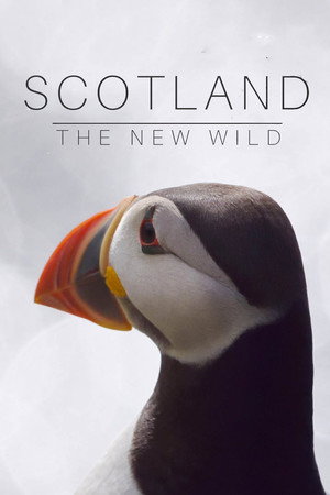 Scotland: The New Wild - TopStrem
