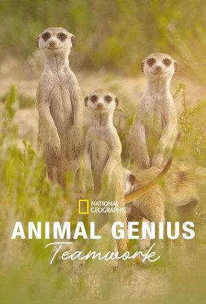 Poster Animal Genius
