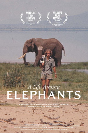 A Life Among Elephants - TopStrem