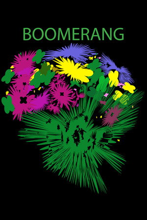 Постер: Boomerang