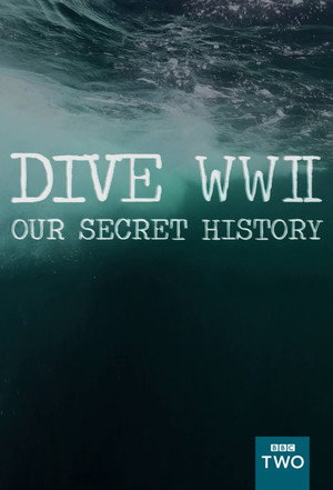 Poster Dive WWII: Our Secret History