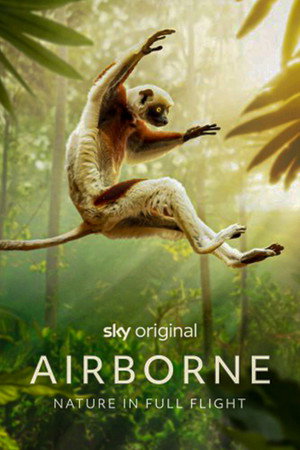 Poster Airborne