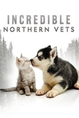 Poster Incredible Northern Vets